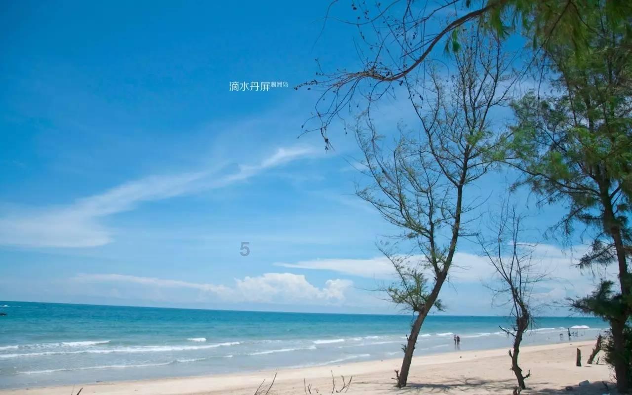 僵尸顶顶乐
